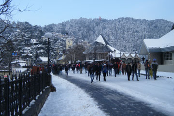 Amritsar Manali to Shimla Tour